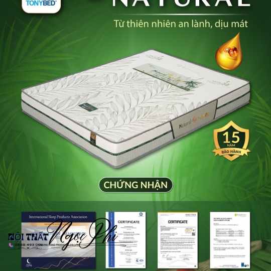 Nệm dầu  cọ natural