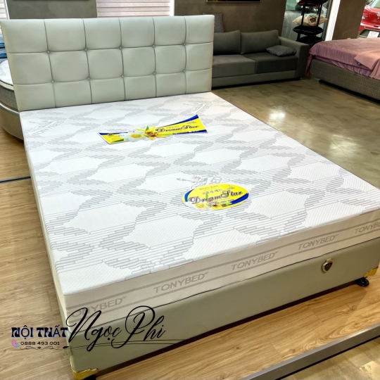 Nệm Thông Hơi 02