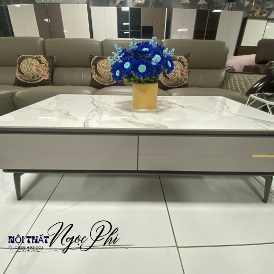 Bàn Trà Nhập Khẩu 21