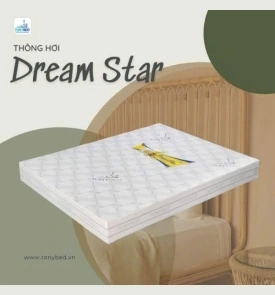 Nệm Thông Hơi DreamStar 1m6x20F S35