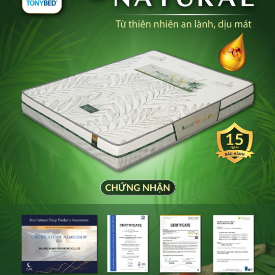 Nệm dầu  cọ natural