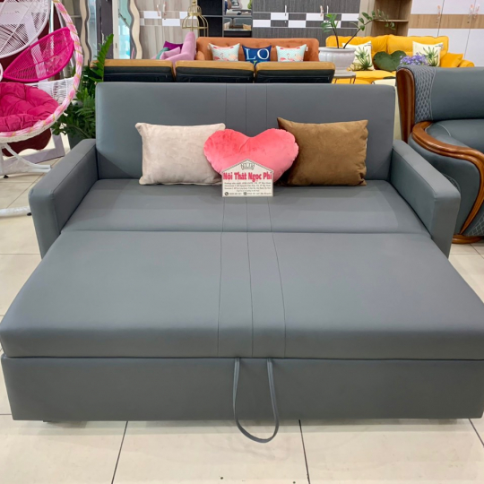 Sofa Bed  18